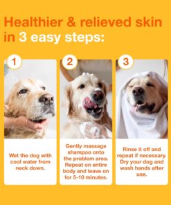 Douxo S3 Pyo Shampoo, Contains 3% Chlorhexidine & 0.5% Ophytrium, Antiseptic & Hydrating, For Bacterial or Yeast Skin Infections, For Dogs and Cats, 6.7 fl. oz. (200mL)