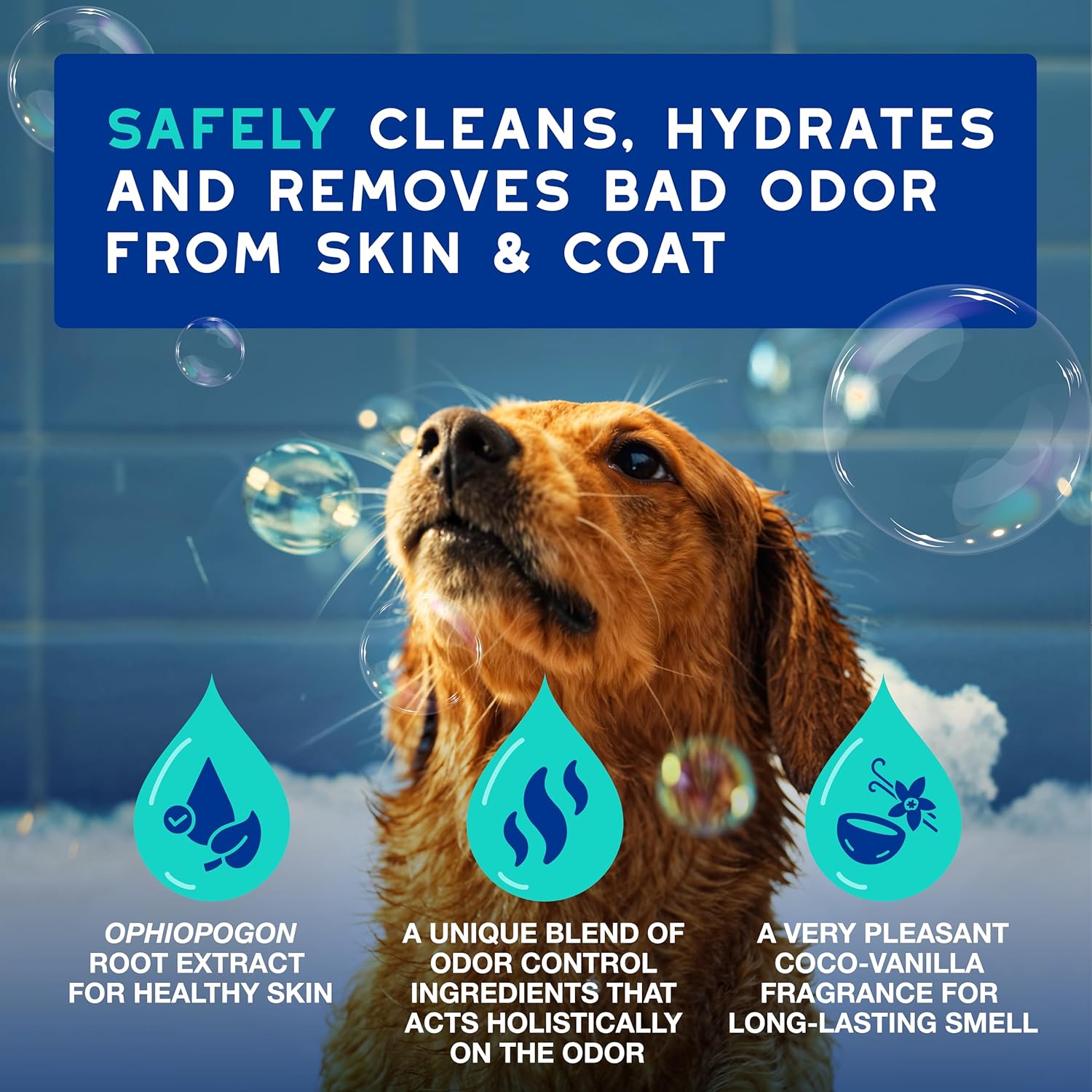 DOUXO® Skin & Coat SPA - Ultra-Safe Odor Control Dog Shampoo for Smelly Dogs, 16 fl oz, Cleans and Hydrates The Skin, Removes Odor, Leaves The Coat Soft and Smelling Great,...
