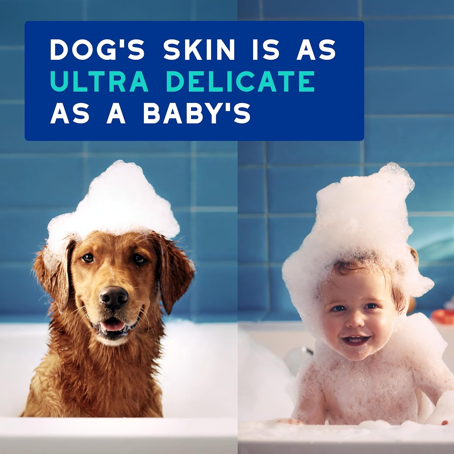 DOUXO® Skin & Coat SPA - Ultra-Safe Odor Control Dog Shampoo for Smelly Dogs, 16 fl oz, Cleans and Hydrates The Skin, Removes Odor, Leaves The Coat Soft and Smelling Great,...