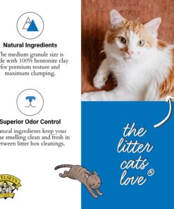 Dr. Elsey's Ultra UnScented Clumping Clay Cat Litter 40 lb. Bag