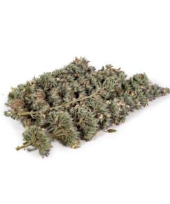 DUC TRT CT CTNP Buds 10MG