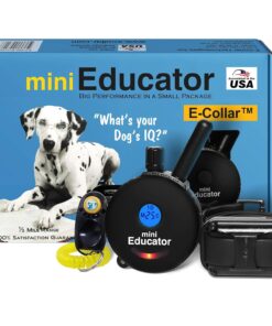 Educator ET-300 Mini E Collar for Dog Training with Remote - 1/2 Mile Range, Waterproof, 100 Blunt Stimulation Levels, Tone or Vibration Mode, Night Light Tracking for Small,...