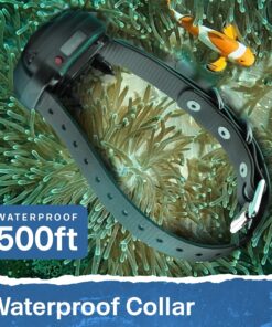 Educator ET-300 Mini E Collar for Dog Training with Remote - 1/2 Mile Range, Waterproof, 100 Blunt Stimulation Levels, Tone or Vibration Mode, Night Light Tracking for Small,...