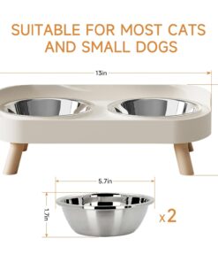 Elevated Cat Bowl, Raised Cat Food and Water Bowl Set for Indoor Cats, Splash Proof with 2 Stainless Steel Pet Food Bowls for Cats and Puppies, Whisker Fatigue and Dishwasher...