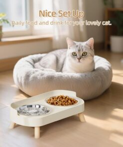 Elevated Cat Bowl, Raised Cat Food and Water Bowl Set for Indoor Cats, Splash Proof with 2 Stainless Steel Pet Food Bowls for Cats and Puppies, Whisker Fatigue and Dishwasher...