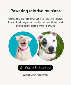Embark Breed Identification Kit - Most Accurate Dog DNA Testing Kit - 99% Breed Ancestry Accuracy for Mixed Breed Dogs - Plus Relative Finder & Family Tree