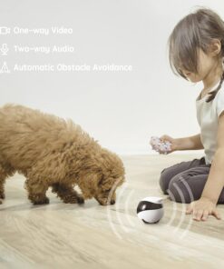 Enabot EBO SE FamilyBot Home Camera Robot: 1080P Movable Pet Camera Indoor, Battery-Operated, Auto-Recharge, Night Vision, 2-Way Talk, Local Storage, APP Control