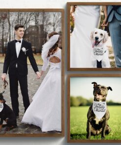 Engagement Gift, My Humans are Getting Married Dog Bandana, Wedding Photo Prop, Pet Scarf, Dog Engagement Announcement, Pet Accessories (Black)