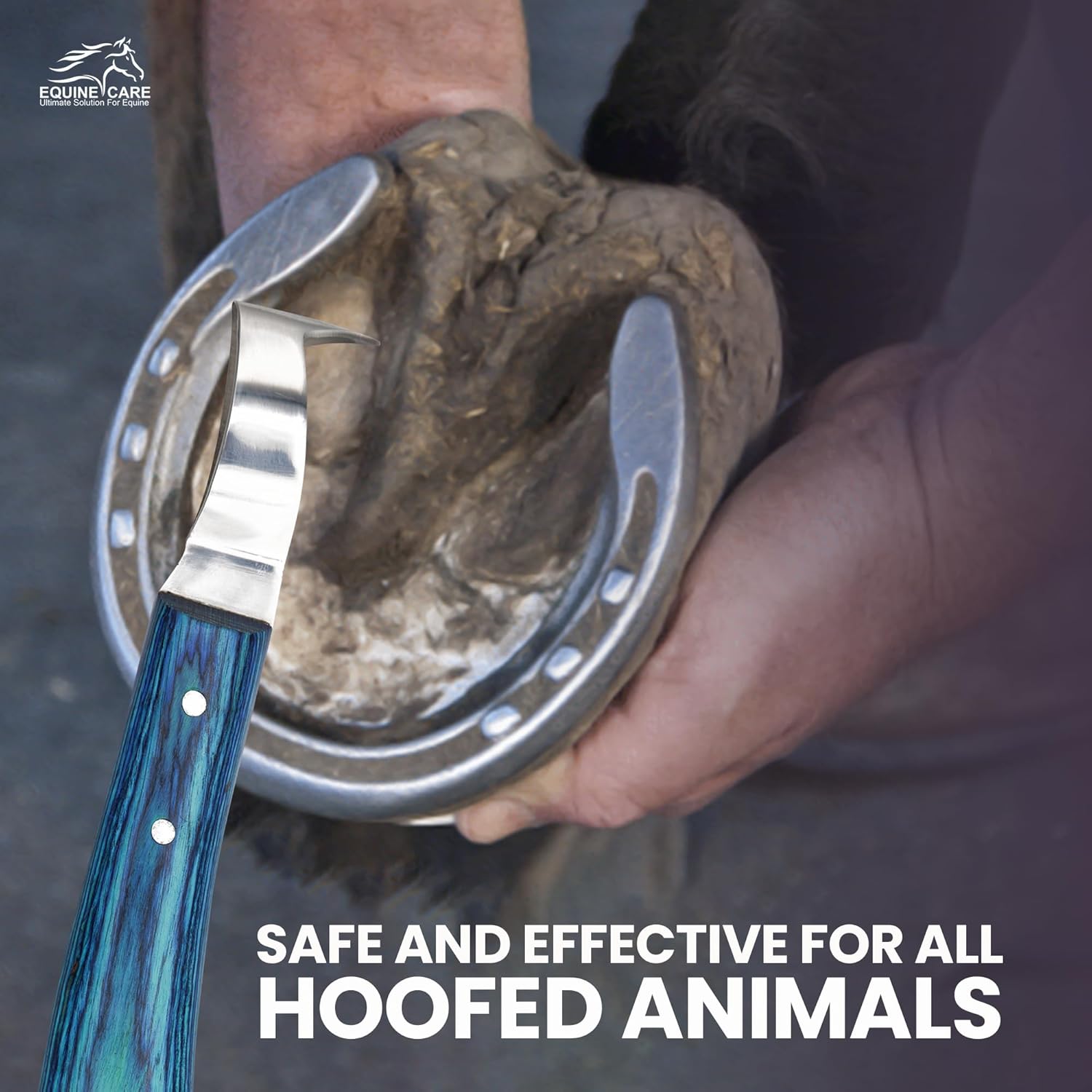 Equine Care Double-Edged J2 Stainless Steel Hoof Trimming Loop Knife, Hoof Pick with Sheet Handle - Versatile Farrier Tool for Horse & Cow Hoof Care, Ideal for Farriers & Horse...