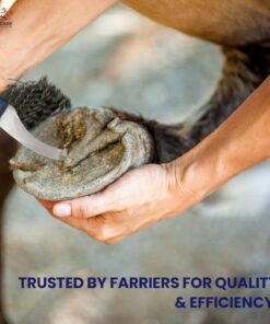 Equine Care Right-Handed Hoof Knife – Professional Farrier Knife & Hoof Trimmer Tool | Ultra-Sharp J2 Stainless Steel Blade, Ergonomic Handle for Horse Hoof Trimming, Cleaning &...