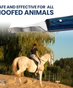 Equine Care Right-Handed Hoof Knife – Professional Farrier Knife & Hoof Trimmer Tool | Ultra-Sharp J2 Stainless Steel Blade, Ergonomic Handle for Horse Hoof Trimming, Cleaning &...