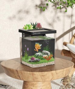 ERAARK 1.5 Gallon Betta Fish Tank Aquarium kit with Filter LED Light, Water Pump, Fish Tank Starter Kits, Fish Bowl