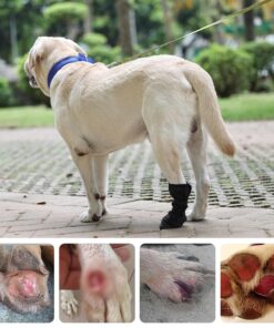 ETIAL Dog Paw Wound Recovery Boot, Breathable Dog Bootie for Injured Paw, Anti-Slip Dog Shoe with Self-Adhesive Strap, Dog Paw Protector for Outdoor Walking & Keep Dogs from...