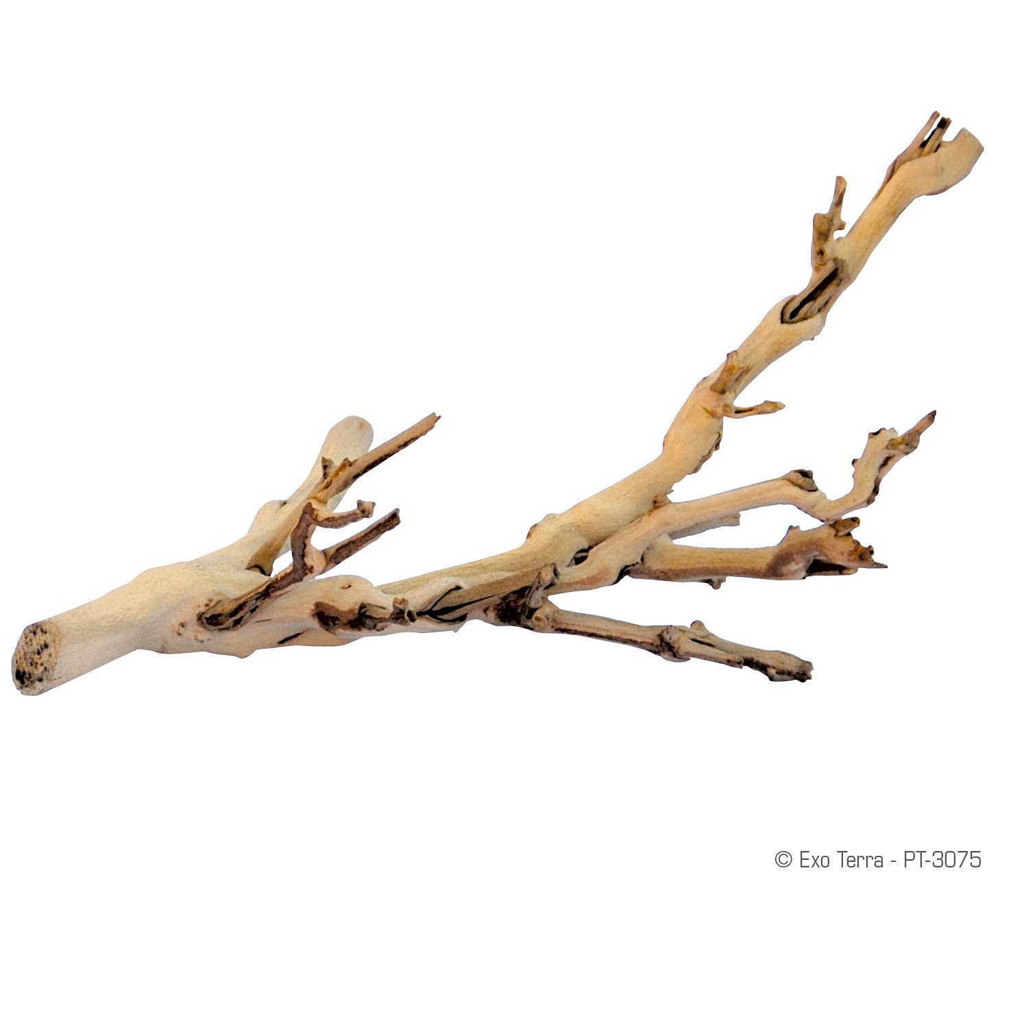 Exo Terra Forest Branch Small – Natural Wood Terrarium Decoration for Reptiles, Amphibians & Small Pets