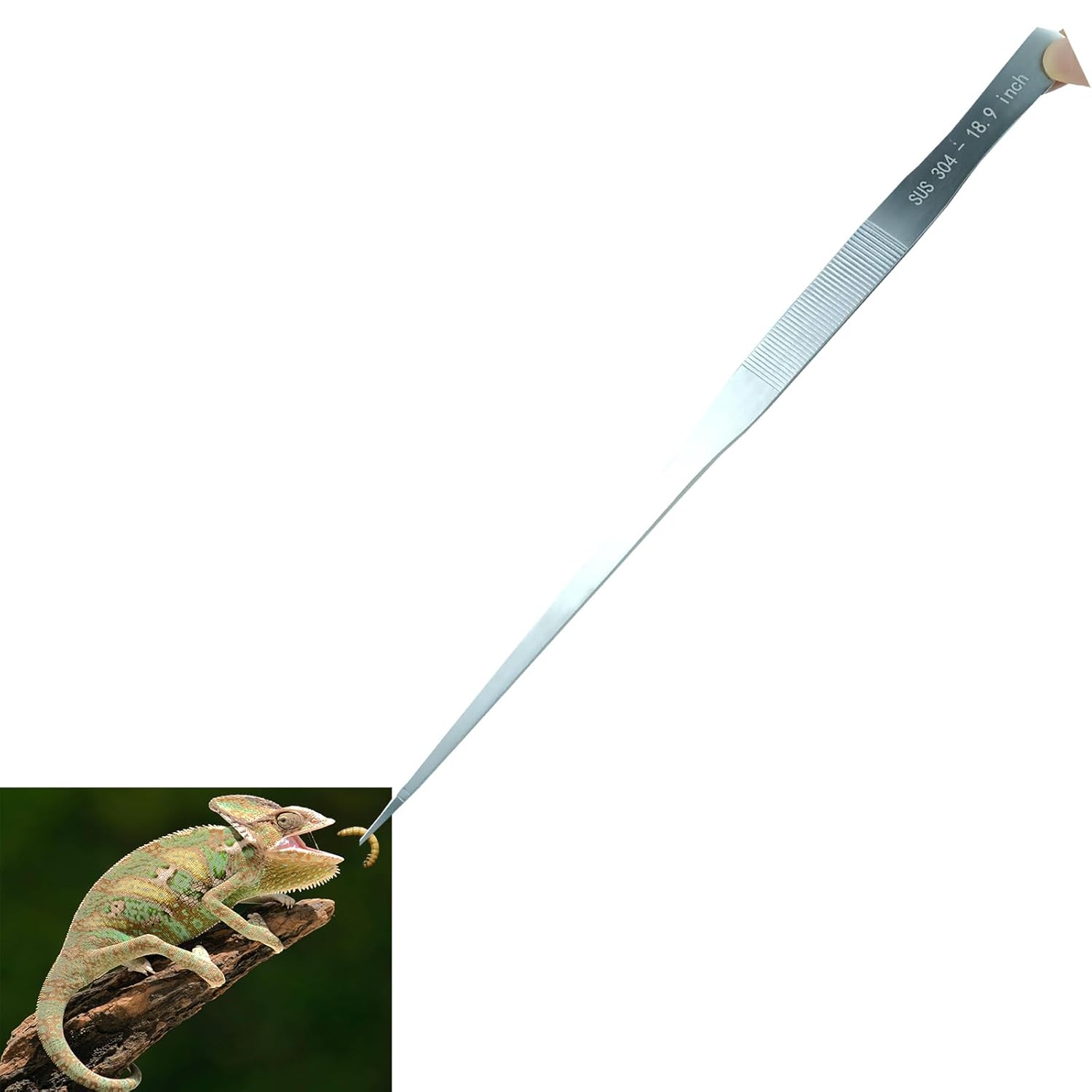Extra Long Tweezers, Feeding Tongs, 18.9 inch Aquarium Stainless Steel Large Aquascape Tools for Fish Tank, Terrarium,Aquascaping, Reptile Snake (Curved)