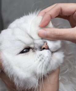 Eye Envy Tear Stain Wipes for Cats. Textured to Gently Clean Tear Stains. Natural Formula. Recommended by Persian & Exotic Breeders, Groomers. USA Made. 60 Cat Eye Wipes