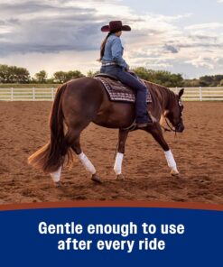 Farnam Leather New Easy-Polishing Glycerine Saddle Soap and Leather Saddle Cleaner, Protects and Preserves Leather, Cleans, Conditions and Polishes, 64 Oz.