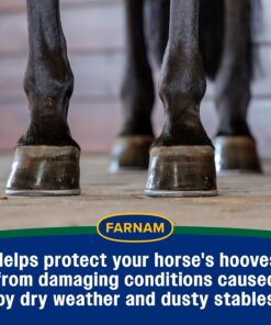 Farnam Rain Maker Triple Action Hoof Moisturizer & Conditioner, Protection Against Dry Weather, Cracks, Splits, Contracted Heels, 32 fl oz