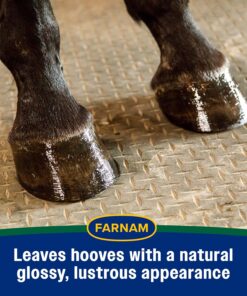 Farnam Rain Maker Triple Action Hoof Moisturizer & Conditioner, Protection Against Dry Weather, Cracks, Splits, Contracted Heels, 32 fl oz