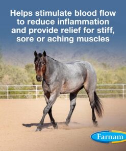Farnam Vetrolin Horse Liniment for Muscle Soreness, Stiffness and Inflammation Relief on Horses, Helps Reduce Swelling, Aids in Pain Relief, 32 Oz.