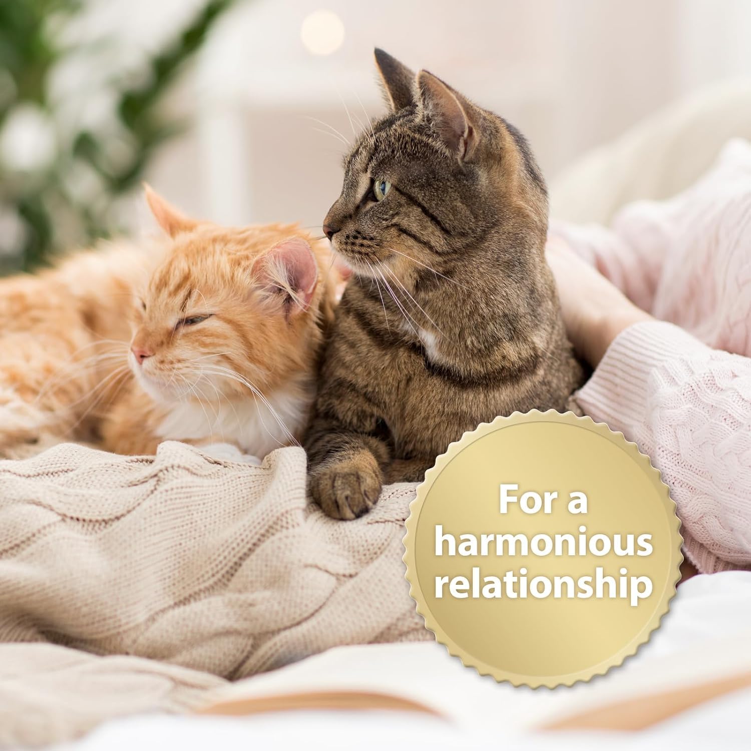 Felisept Family Comfort Relaxing Agent in Multi-Cat Household Refill Bottle 3 x 45 ml - with Natural Catnip - Release tensions in Multi-cat households and Reduce sustainably