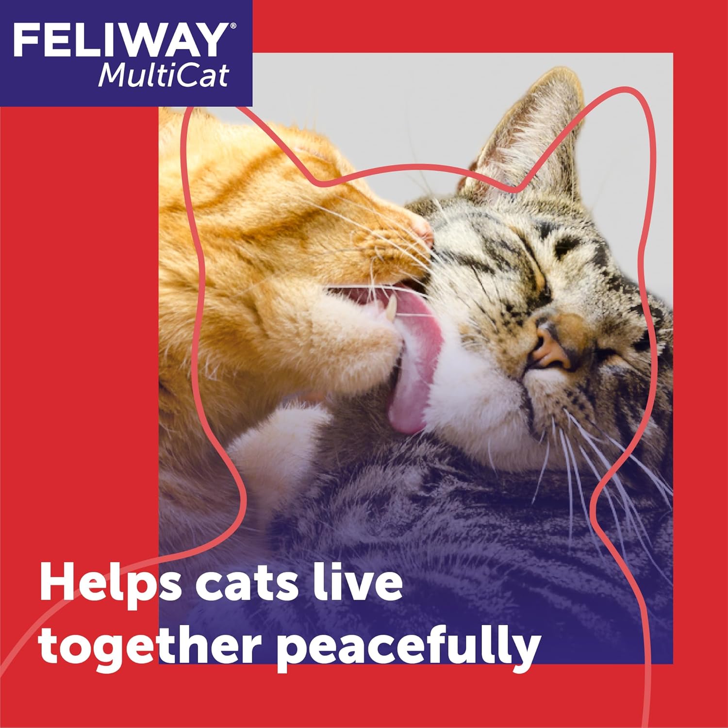 FELIWAY MultiCat 30 Day Cat Calming Plug In Pheromone Diffuser Starter Kit, 48ml - Helps Reduce Conflicts and Signs of Tension in Multi-Cat Households