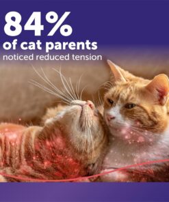 FELIWAY MultiCat 30 Day Cat Calming Plug In Pheromone Diffuser Starter Kit, 48ml - Helps Reduce Conflicts and Signs of Tension in Multi-Cat Households