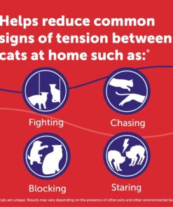 FELIWAY MultiCat 30 Day Cat Calming Plug In Pheromone Diffuser Starter Kit, 48ml - Helps Reduce Conflicts and Signs of Tension in Multi-Cat Households