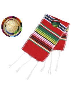 Fiesta Costume for Chickens Includes Sombrero and Serape Poncho for Silkie Chickens Laying Hens Pet Chicken Costume