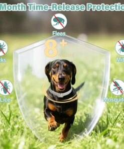 Flea and Tick Collar for Dogs, 6 Pack Natural Flea and Tick Prevention for Dogs in a Waterproof Design with Natural Essential Oils, Adjustable Multi-Pest Repellent Collar for...