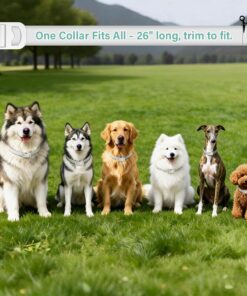 Flea and Tick Collar for Dogs, 6 Pack Natural Flea and Tick Prevention for Dogs in a Waterproof Design with Natural Essential Oils, Adjustable Multi-Pest Repellent Collar for...