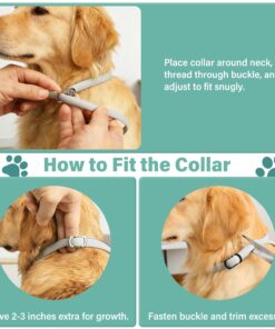Flea and Tick Collar for Dogs, 6 Pack Natural Flea and Tick Prevention for Dogs in a Waterproof Design with Natural Essential Oils, Adjustable Multi-Pest Repellent Collar for...