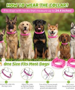 Flea and Tick Collar for Dogs, Dog Collars with Natural Essential Oils, Waterproof, Adjustable Size for Small Medium and Large Dog, Flea Prevention and Tick Control for...