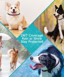 Flea and Tick Prevention for Dogs, 4 Pack Flea Collar for Dogs, Dog Flea and Tick Treatment, 32 Months Protection, Waterproof, Adjustable Collar for Dog, One Size Fits All for...