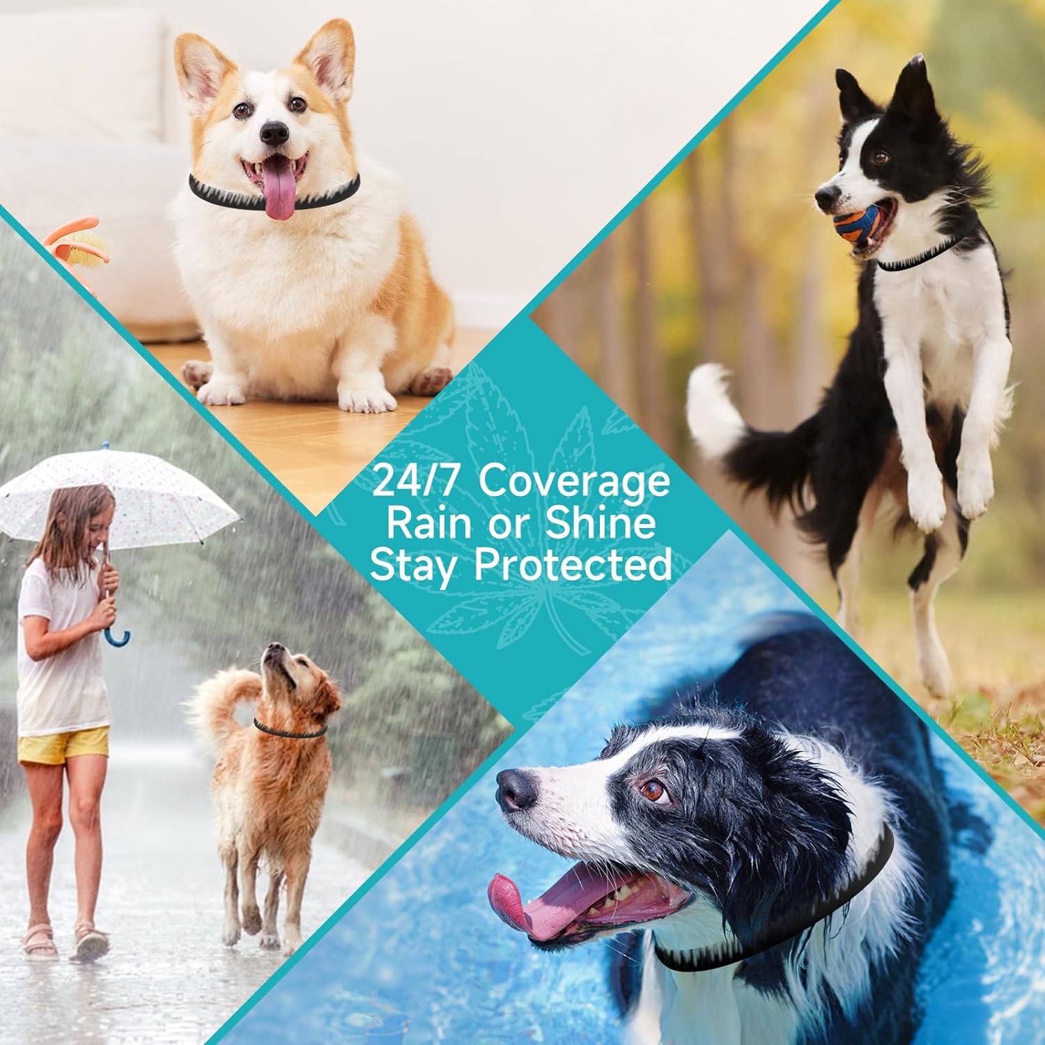 Flea and Tick Prevention for Dogs, 4 Pack Flea Collar for Dogs, Dog Flea and Tick Treatment, 32 Months Protection, Waterproof, Adjustable Collar for Dog, One Size Fits All for...