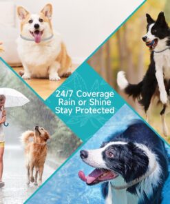 Flea and Tick Prevention for Dogs, 4 Pack Flea Collar for Dogs, Dog Flea and Tick Treatment, 32 Months Protection, Waterproof, Adjustable Collar for Dog, One Size Fits All for...