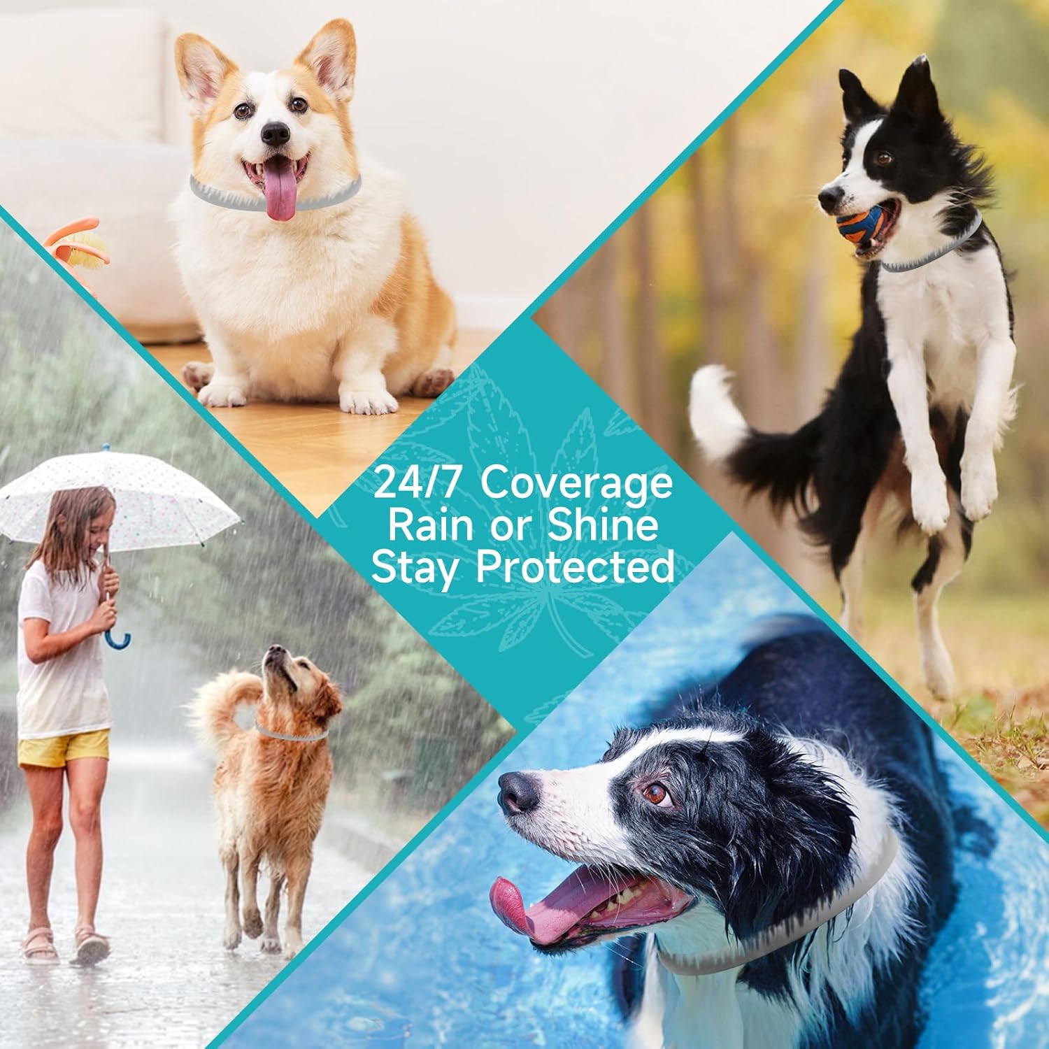 Flea and Tick Prevention for Dogs, 4 Pack Flea Collar for Dogs, Dog Flea and Tick Treatment, 32 Months Protection, Waterproof, Adjustable Collar for Dog, One Size Fits All for...
