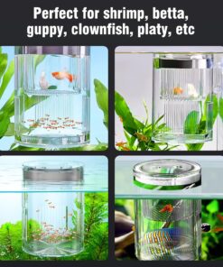 Floating Acrylic Breeder Box for Fish Tank - Aquarium Isolation Separator Hatchery Incubator for Guppy, Betta, Clownfish, Coral, Baby & Injured Fish