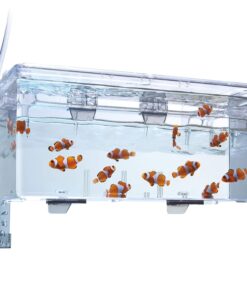 Fluval Multi-Chamber Holding and Breeding Box, Large – Up To 3 Separate Housing Compartments
