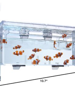 Fluval Multi-Chamber Holding and Breeding Box, Large – Up To 3 Separate Housing Compartments