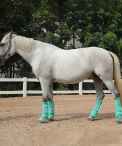 Fly Boots for Horses Set of 4, Non-Slip Horse Fly Boots, Comfy Airflow Mesh, No More Stomping & Horsefly Nuisance Green Full