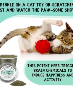 from The Field | Fine Ground Stalkless Catnip | Premium USA-Grown Catnip for Toys & Playtime | Fresh, Potent, Non-Toxic, Eco-Friendly | Safe for Kittens & Cats | Resealable 1 oz...