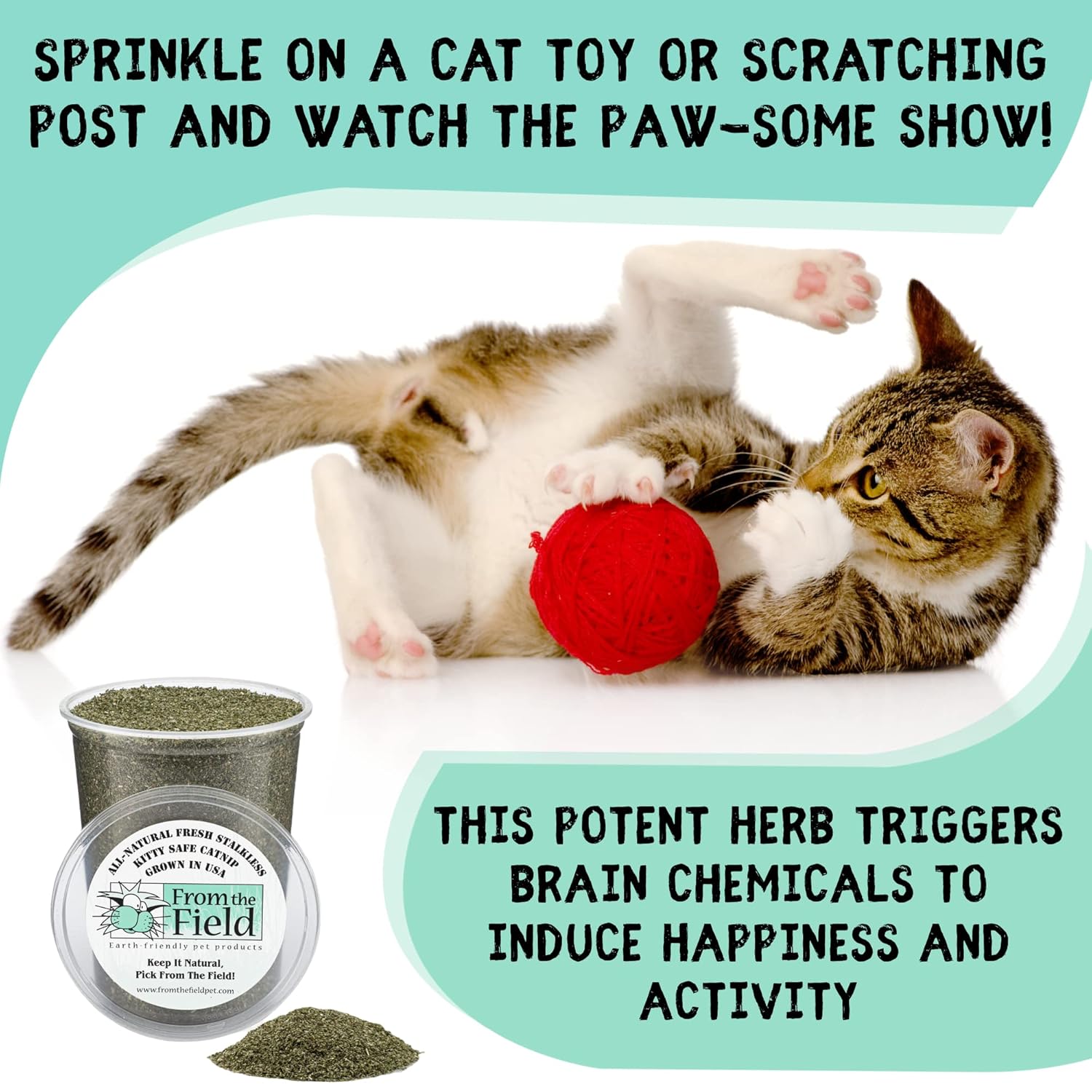 from The Field | Fine Ground Stalkless Catnip | Premium USA-Grown Catnip for Toys & Playtime | Fresh, Potent, Non-Toxic, Eco-Friendly | Safe for Kittens & Cats | Resealable 1 oz...