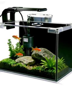 FS&AQ 2.5 Gallon Betta Fish Tank with Filter Light and Lid Small Aquarium Starter Kit Perfect for Desktops Offices or Beginners