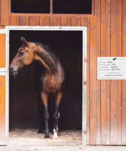 Fulmoon 5 Pcs Horse Stall Name Plate Dry Erase Sign Info Stall Plaque with 3 Pcs Dry Erase Pen for Horse Barn Door Accessories Decoration Supplies, 12 x 8 Inch