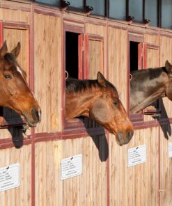 Fulmoon 5 Pcs Horse Stall Name Plate Dry Erase Sign Info Stall Plaque with 3 Pcs Dry Erase Pen for Horse Barn Door Accessories Decoration Supplies, 12 x 8 Inch