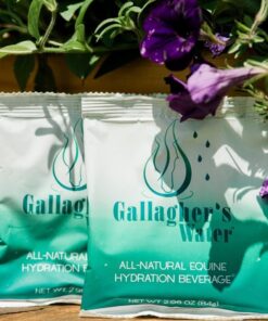 Gallagher's Water 12 Pack All-Natural Equine Hydration Treat - Enhancement Powder Mix Horse Drink Treat to Help Encourage to Drink Water - Made with All Natural Ingredients, FEI...