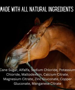 Gallagher's Water 12 Pack All-Natural Equine Hydration Treat - Enhancement Powder Mix Horse Drink Treat to Help Encourage to Drink Water - Made with All Natural Ingredients, FEI...