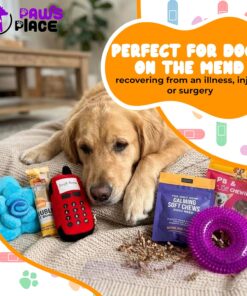 Get Well Soon Dog Gifts, Dog Care Package, Puppy Gift Basket with 3 Dog Treats and 4 Toys, Adorable Puppy Gift Basket, Pet Care Package