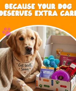 Get Well Soon Dog Gifts, Dog Care Package, Puppy Gift Basket with 3 Dog Treats and 4 Toys, Adorable Puppy Gift Basket, Pet Care Package